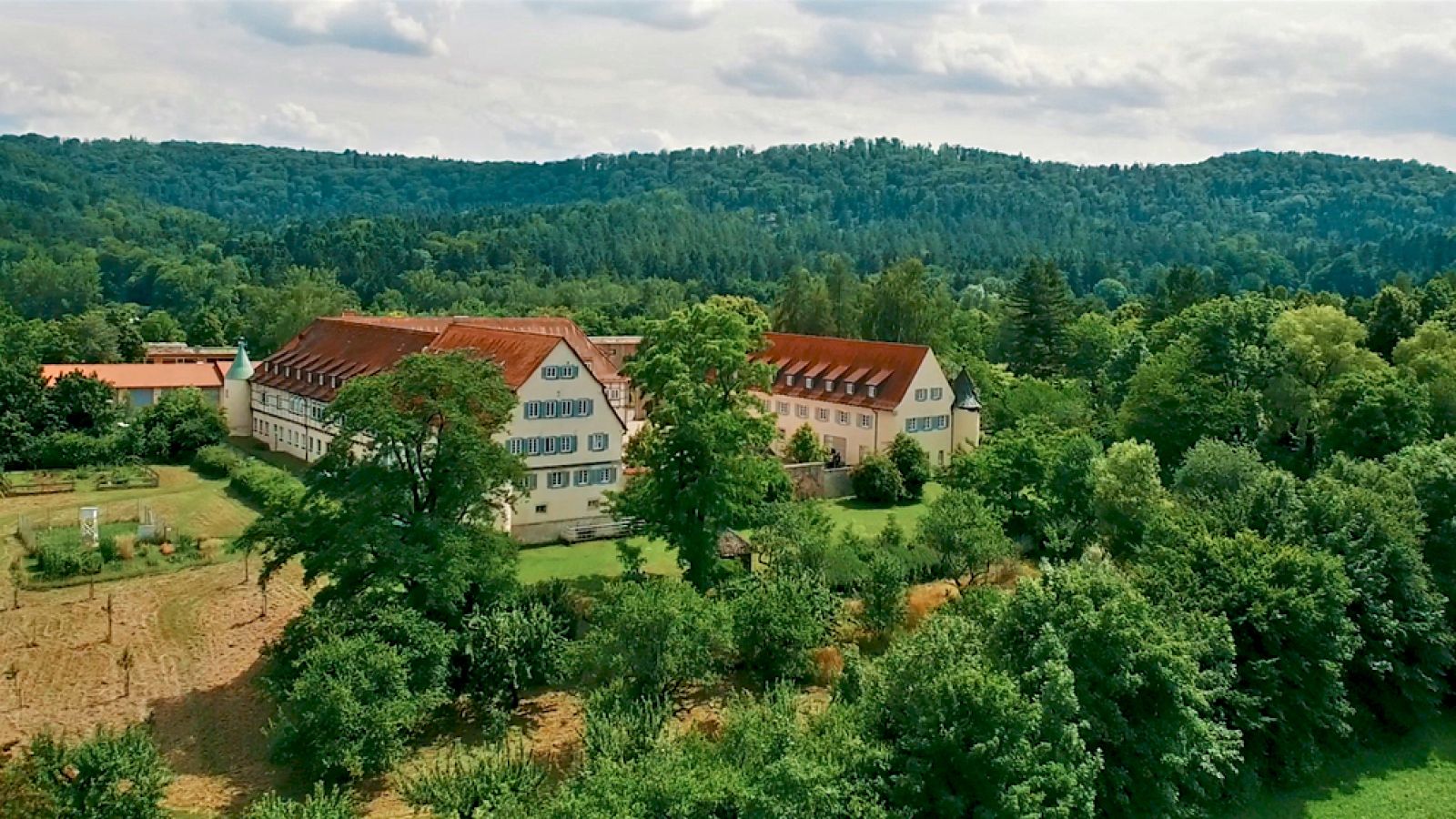 Bild zu diesem Artikel